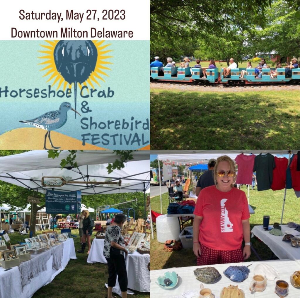 Historic Milton Horseshoe Crab and Shorebird Festival