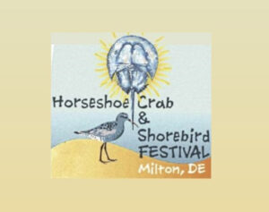 Horseshoe Crab & Shorebird Festival Milton, DE
